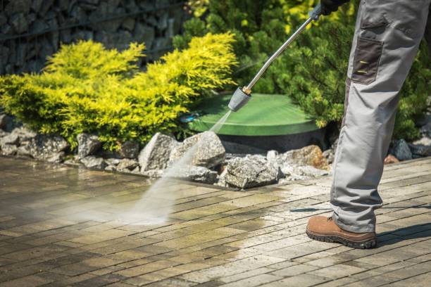 Best Pre-Holiday Cleaning  in Grand Saline, TX